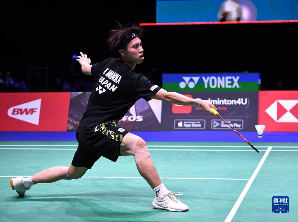 这位新星的 这位新星的