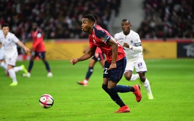 行政问题 行政问题